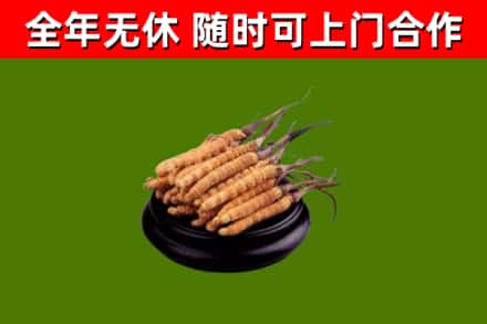 黔西南烟酒回收冬虫夏草.jpg