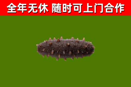 黔西南烟酒回收干海参.jpg